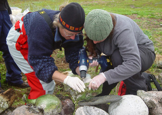  In Forgotten Whalebones, the Past is Remembered and Recorded