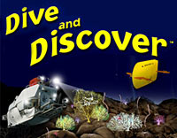 Dive and Discover