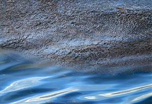 oil and water in the Gulf of Mexico