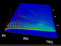 Comprehensive Two-Dimensional Gas Chromatography