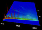 Measuring & Analysis 