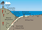 Fluid-Rock Interactions and the Subseafloor Biosphere