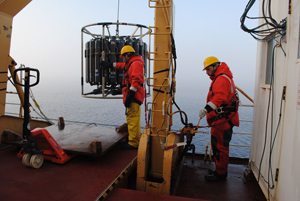 Plankton dynamics in the Beaufort Sea 