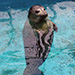 Things to do in Woods Hole