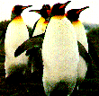 Antarctica image