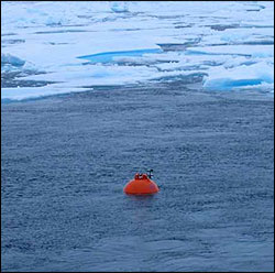 The WHOI-A top flotation package reaching the surface after being deployed beneath the ice for one year.