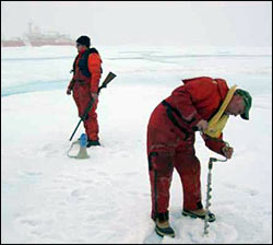 John Kemp surveys icefloe