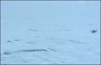 BGEP dispatch image