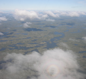 BGEP dispatch image