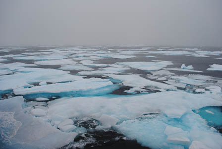 Arctic Ocean