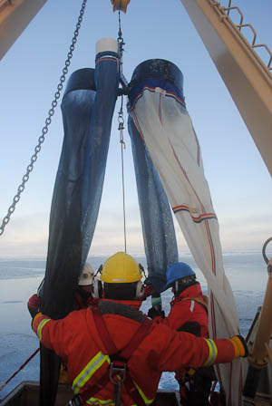 Windsocks