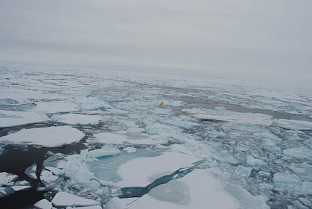 Battered ice