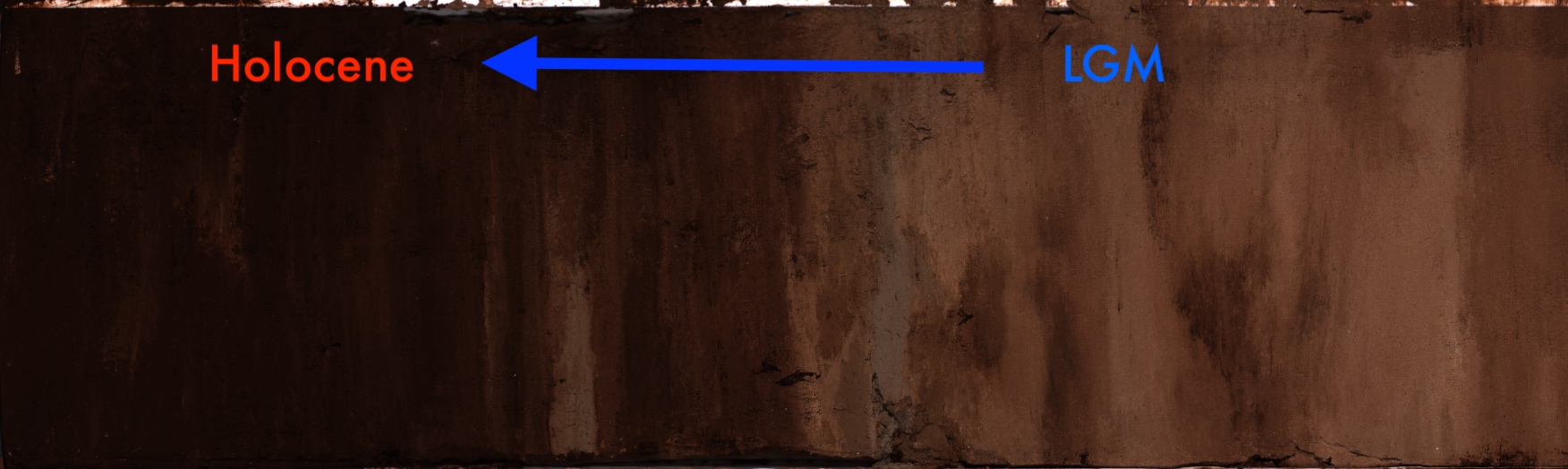 Sediment core showing change in sediment composition from the LGM to the Holocene