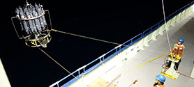 Organic matter in the deep ocean
