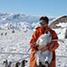 From Penguins to Polar Bears: Impacts of Climate Change