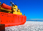 online expeditions
