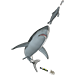 Public Event: White Sharks, Gray Seals