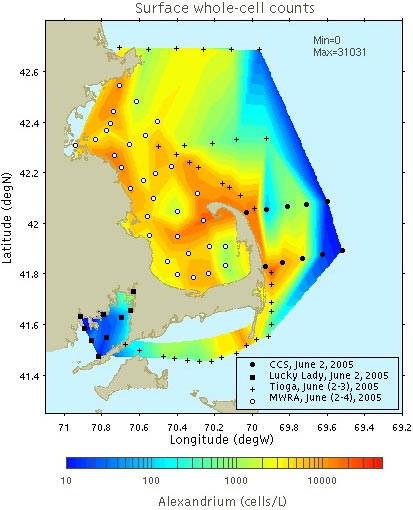 Surface whole-cell hybridization counts of Alexandrium fundyense