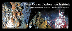 DOEI 2002 Brochure