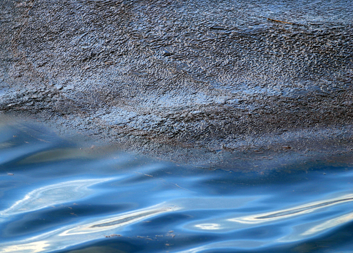 oil and water in the Gulf of Mexico