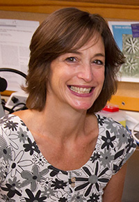Anne Cohen