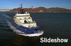Meet the ship