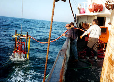 Out to Sea
