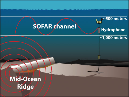 North American Moving >> Ears in the Ocean : Oceanus Magazine North American Moving >> Ears in the Ocean : Oceanus Magazine