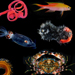 diverse animals