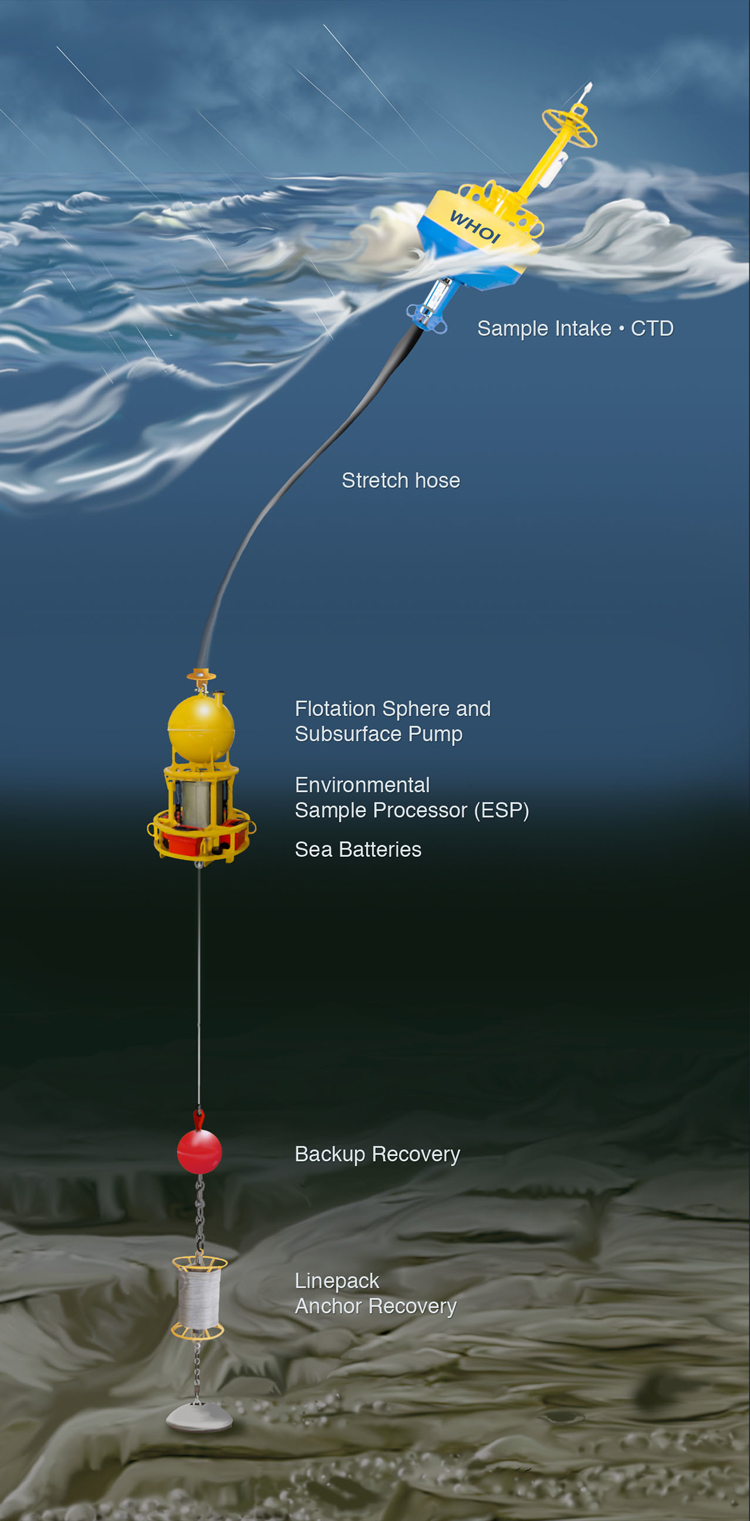 illustration of mooring