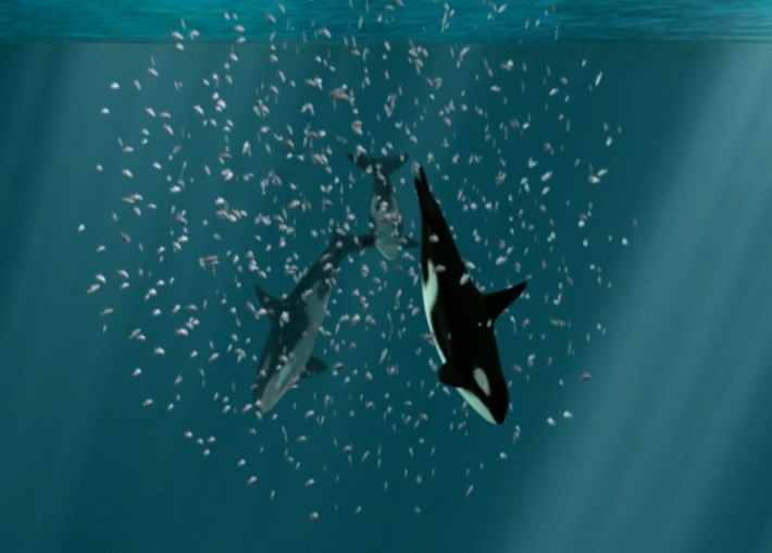 https://www.whoi.edu/cms/images/oceanus/callout-animation-orca_284018.jpg