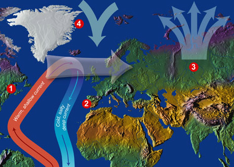 how the isthmus of panama put ice in the arctic oceanus magazine