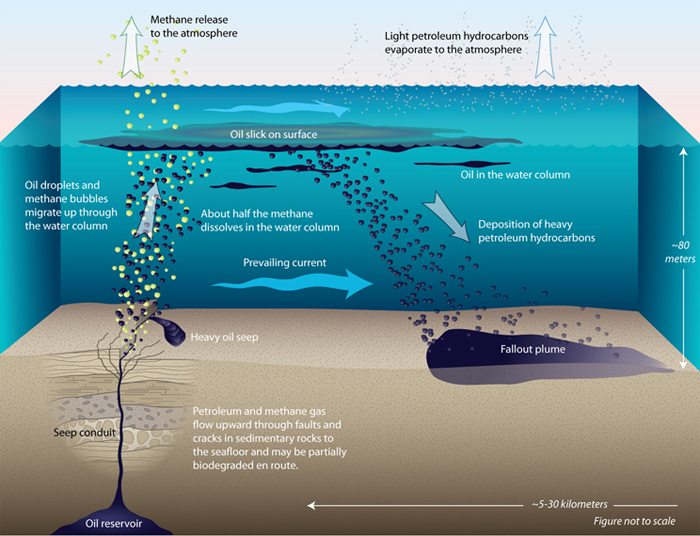 oil seep illustration