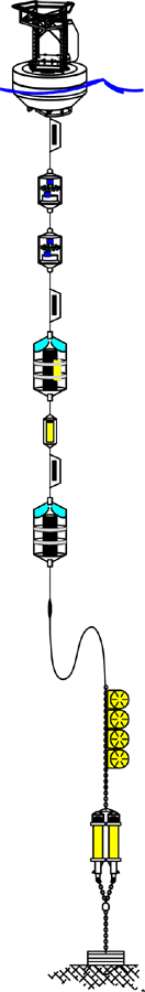 buoy