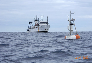 buoy workshop