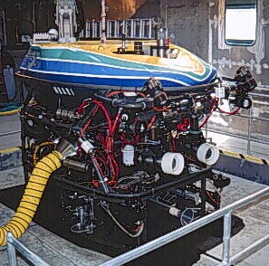 tiburon