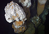 astounding undersea discoveries article