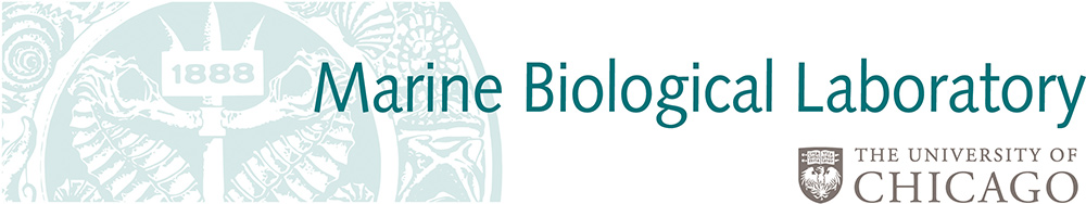 whoi graphic services