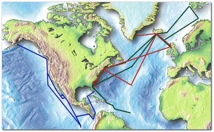 cruise map