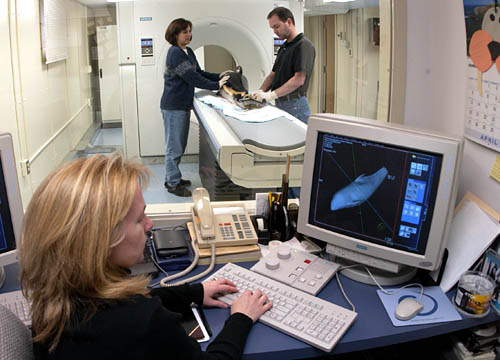 Darlene Ketten's lab