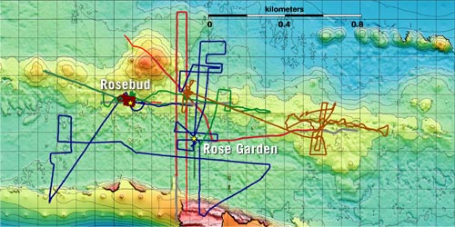 rose bud map
