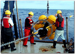 sediment trap