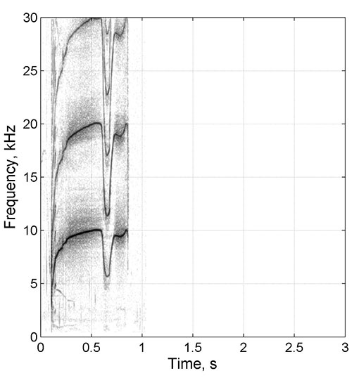 Dolphin F233 Spectrogram