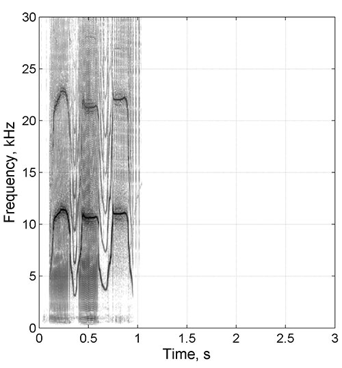 Dolphin 278 Spectrogram