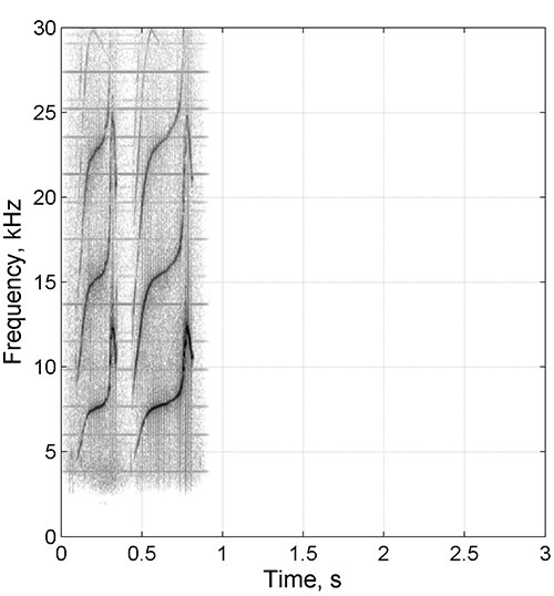 Dolphin FB07 Spectrogram