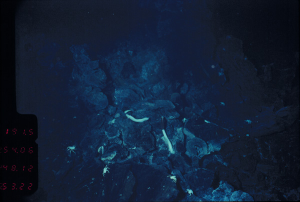 2748-2-12.53.22