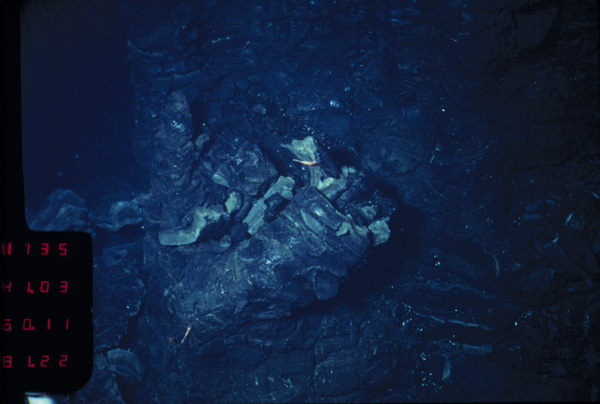 2750-1-11.31.22