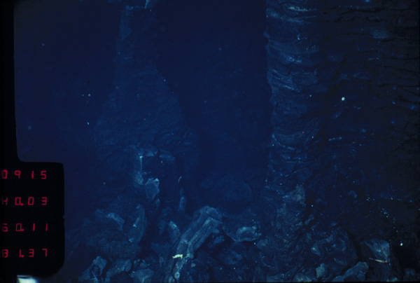 2750-1-11.31.37