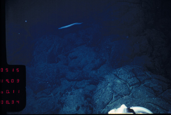 2760-1-11.08.34