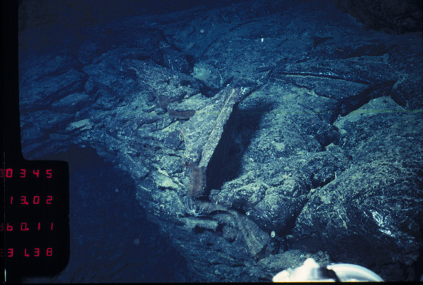 2760-1-11.31.38